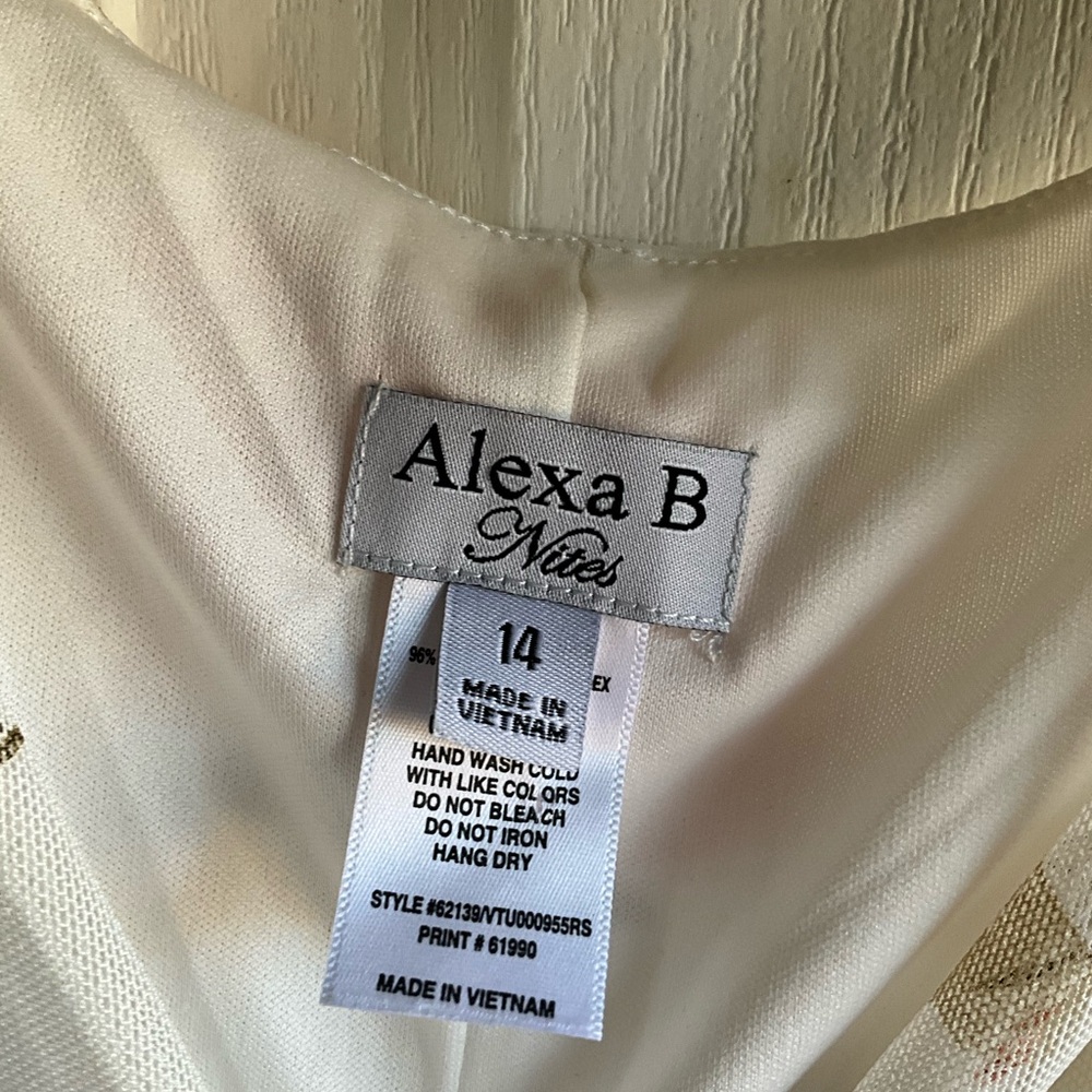 Alexa B SIZE 14 dress - Picture 3 of 11